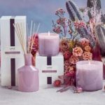 LAFCO New York Midnight Cactus Collection Giveaway